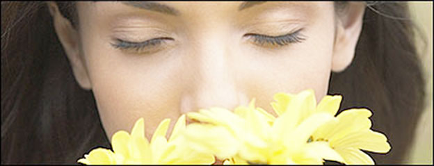 Por Qué Huelen Tan Bien Las Flores? - Amaretta Home Blog