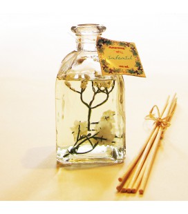 Mikado Infantil decorado 100 ml